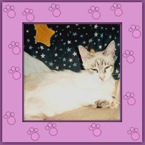 Lilly
