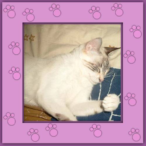 Lilly