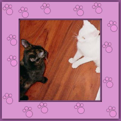 Lala & Phoebe