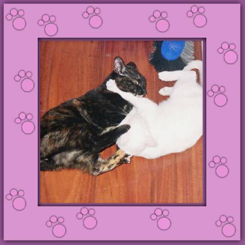 Lala & Phoebe