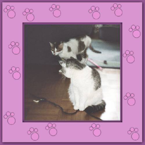 Laura & Loupy