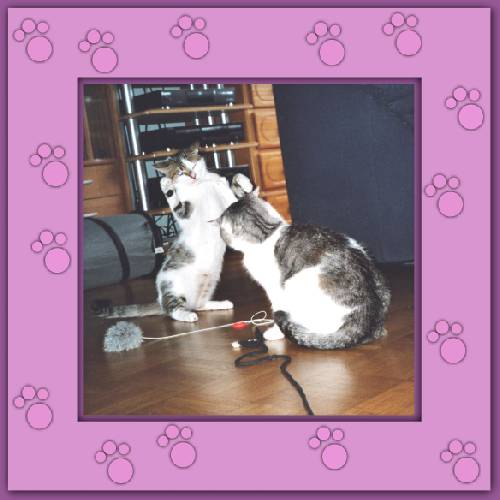 Laura & Loupy