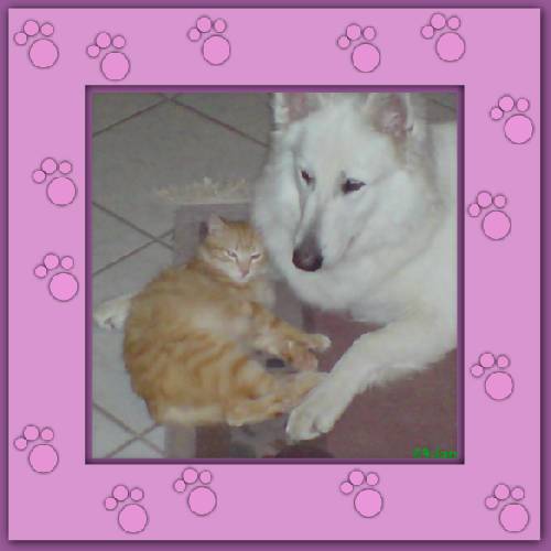 Laurin & Bonny 