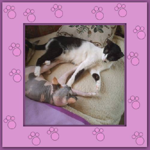 Lola & Morgane