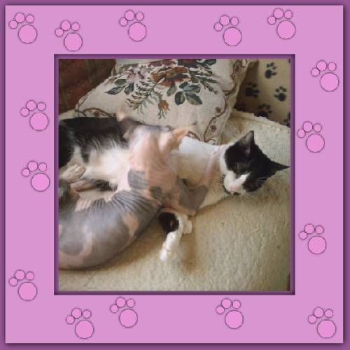 Lola & Morgane
