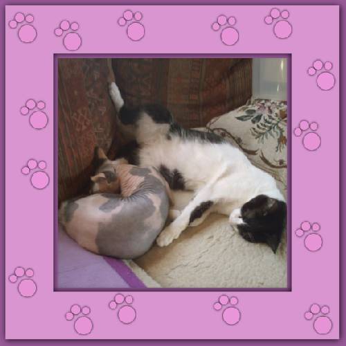 Lola & Morgane
