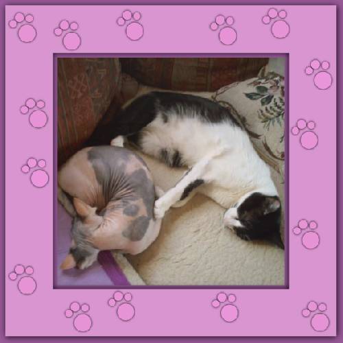 Lola & Morgane