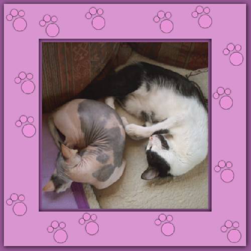 Lola & Morgane