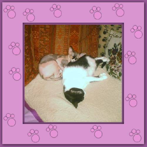 Lola & Morgane