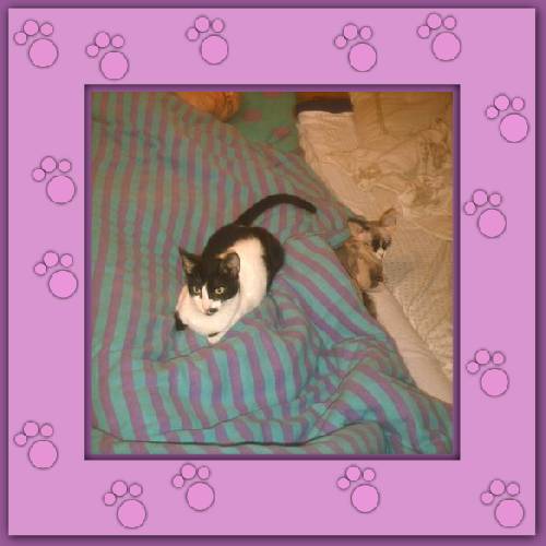 Lola & Morgane