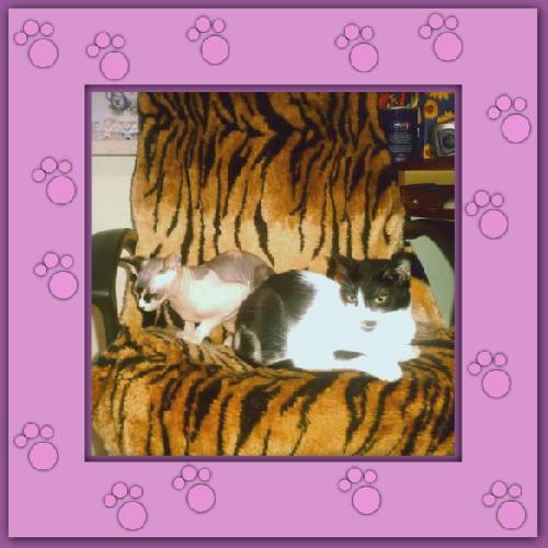 Lola & Morgane