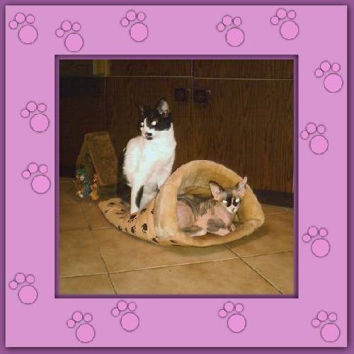 Lola & Morgane