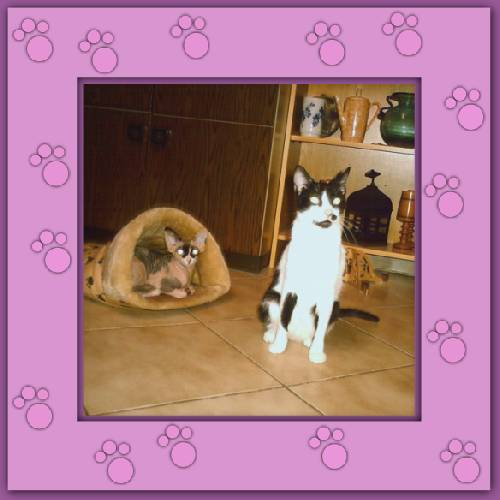 Lola & Morgane