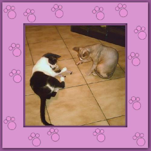 Lola & Morgane