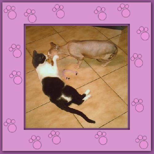 Lola & Morgane