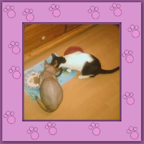 Lola & Morgane