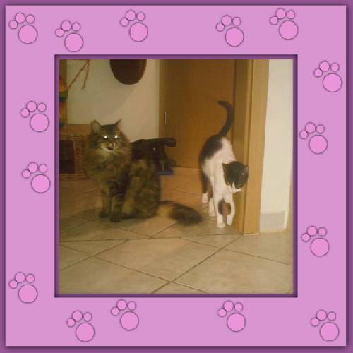 Lola & Esche
