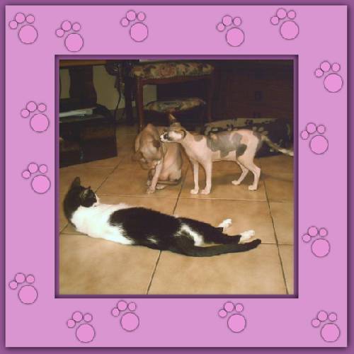 Lola  & Morgane