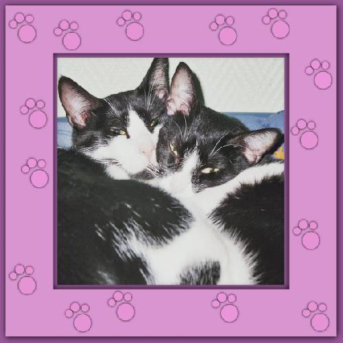 Nike & Rufus