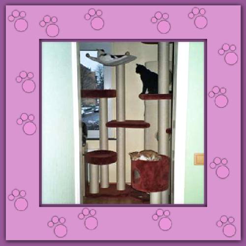 Lollipop, Lilofee & Tosca