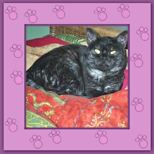 Tosca
