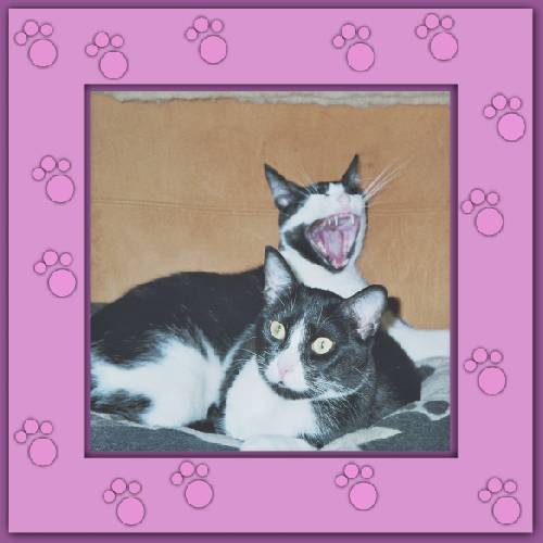 Nike & Rufus
