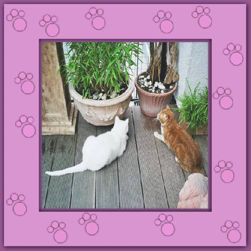 Lilofee & Smilla