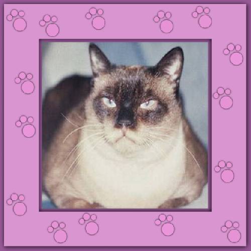 Louise