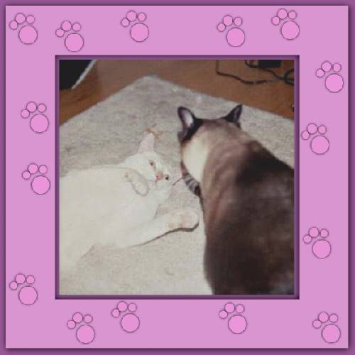 Pedro & Louise