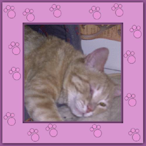 Aramis