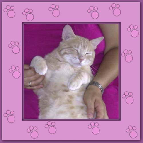 Aramis