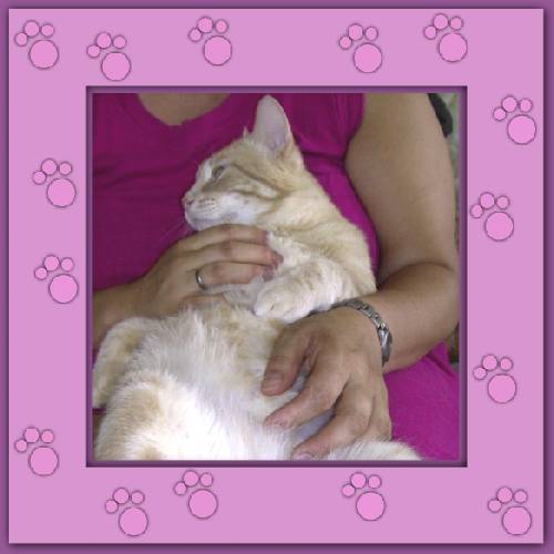 Aramis