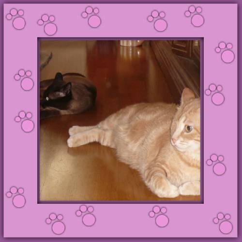 Prinz & Aramis