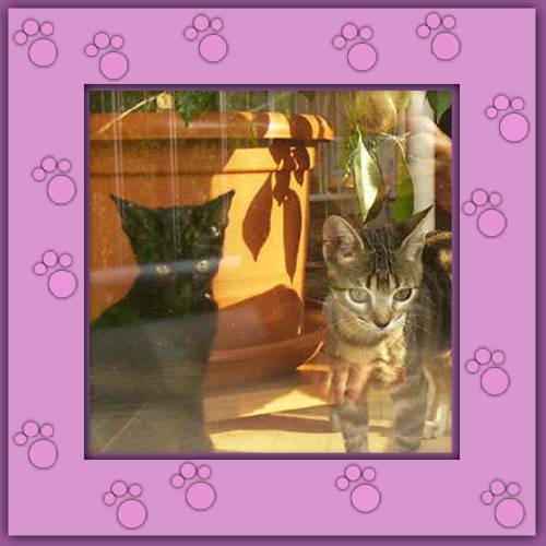 Luna & Filou