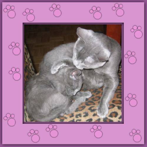 Luna & Paco