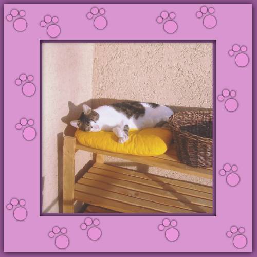 Luni
