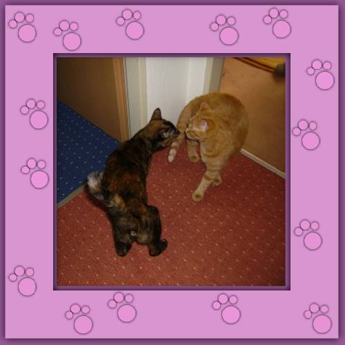 Maja & Millie