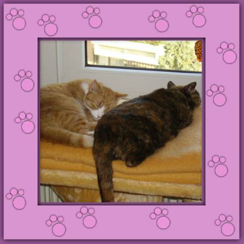 Millie & Maili