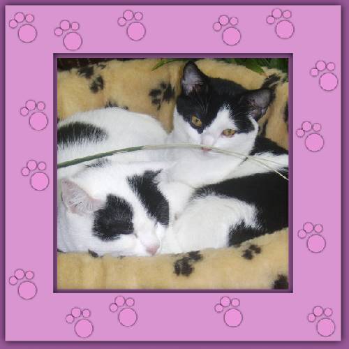 Manchita & Nelly
