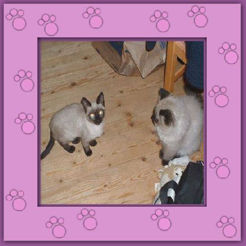 Marita & Balou