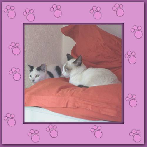 Mona & Lisa