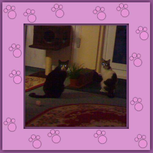 Michou & Felix