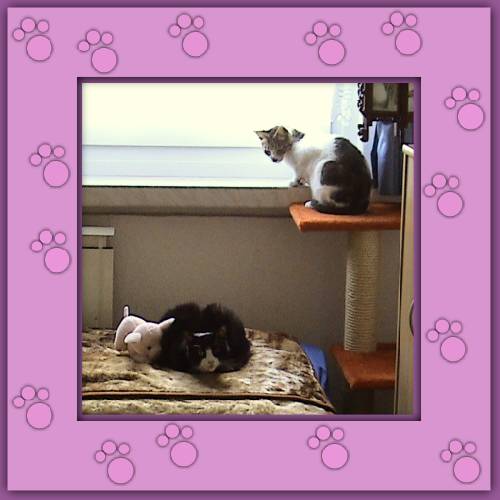 Michou & Felix