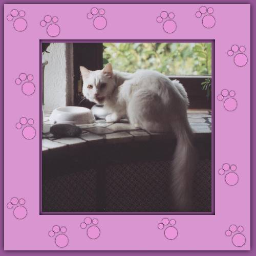 Miko
