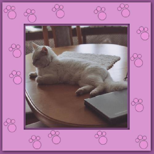 Miko