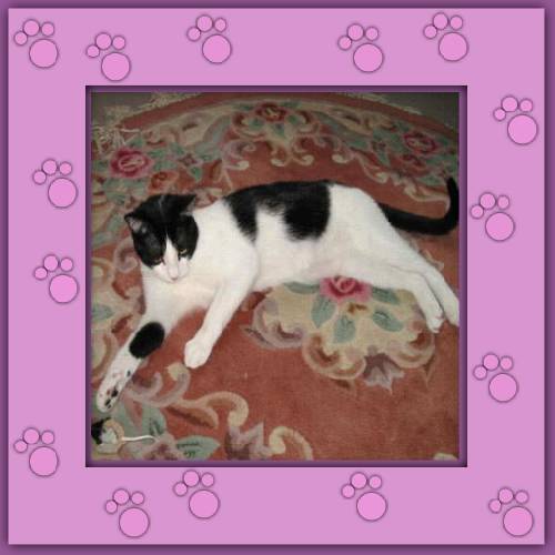 Milou