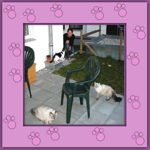 Milou