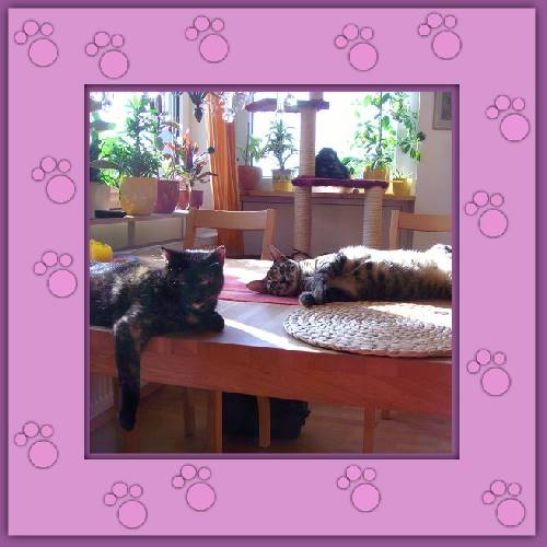 Mimi & Chico