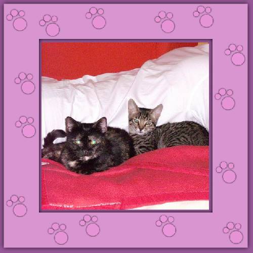 Mimi & Chico