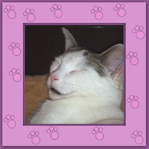 Mr. Spock